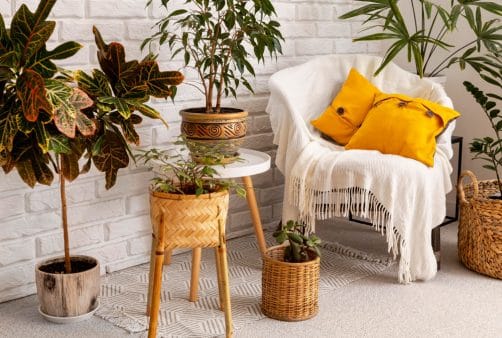 Scopri di più sull'articolo Arredamento ecologico: la nuova tendenza cool e sostenibile