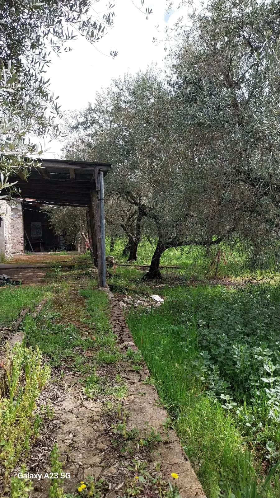 Scopri di più sull'articolo Gaeta C.da Piroli vendesi terreno di 5000 mq