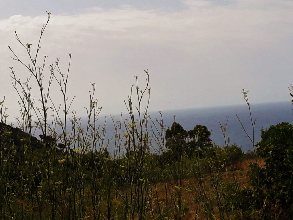 Gaeta via Del Colle – Terreno panoramico image 1