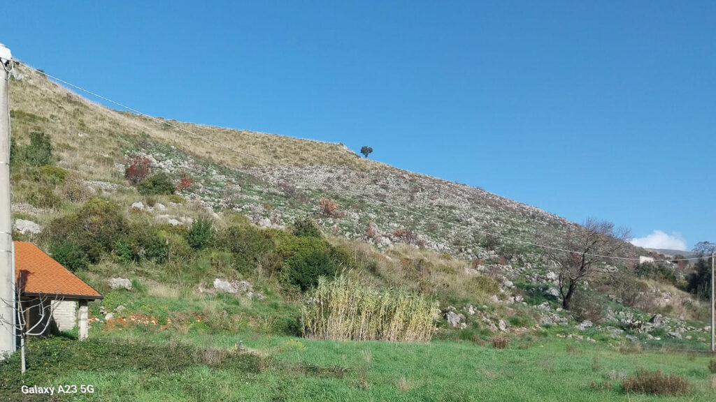 Terreno con comodo accesso in Via Sant’Agostino image 3